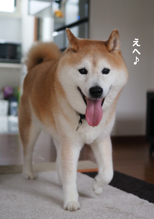 2日夕ブログ７