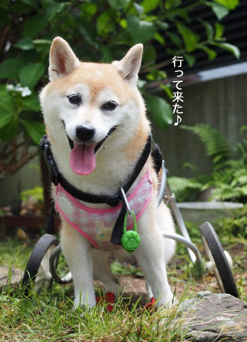 14日ブログ３
