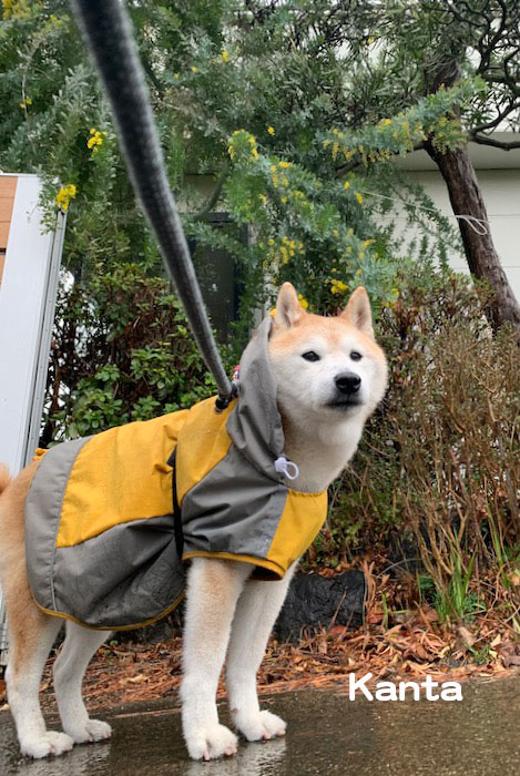 25日夕ブログ４