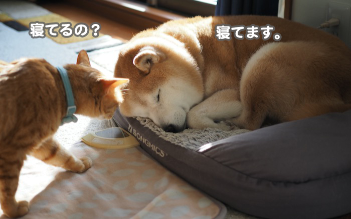 22日午前ブログ３