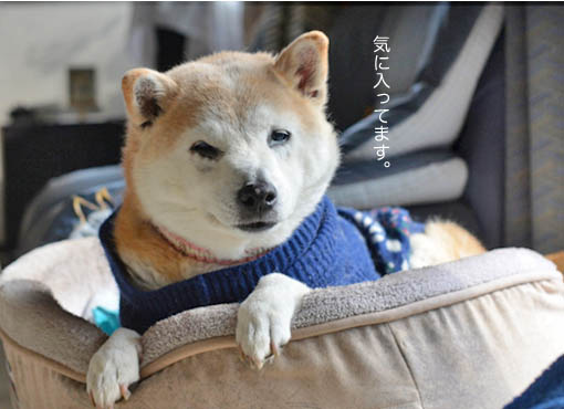22日ブログ2.jpg