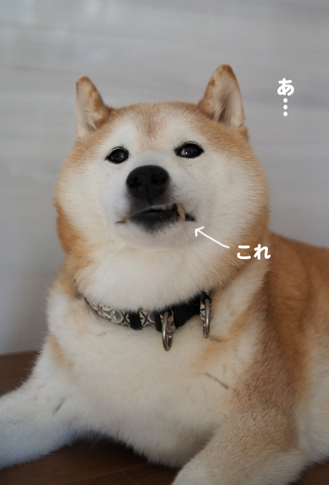 17日ブログ３