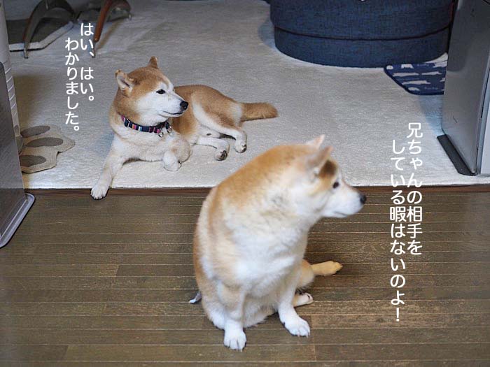 23日ブログ１５