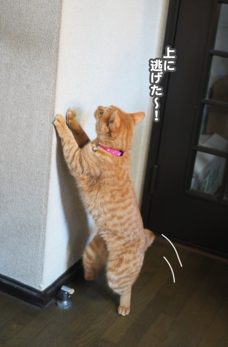 19日夜ブログ４