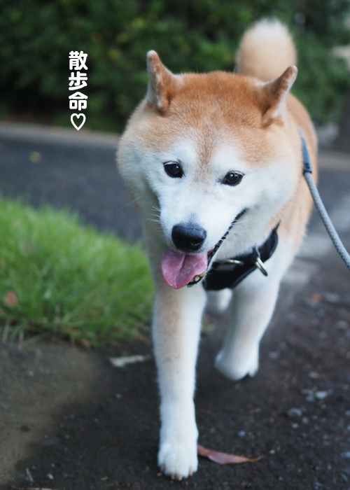 4日ブログ５