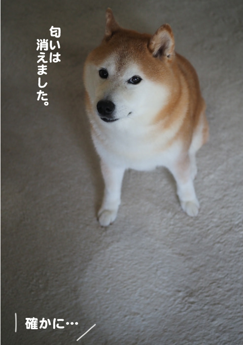 1日夕ブログ８