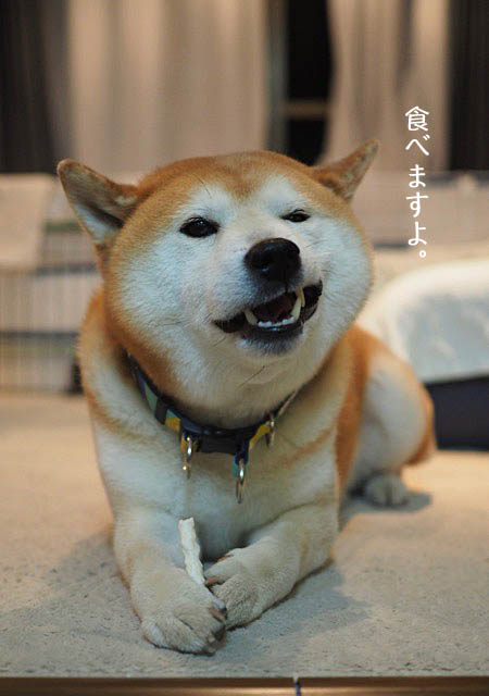 22日ブログ4