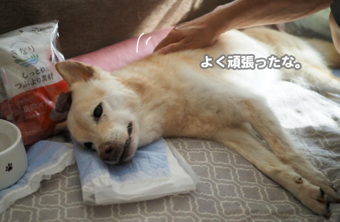 9日ブログ１０