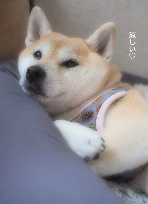 29日夜ブログ３