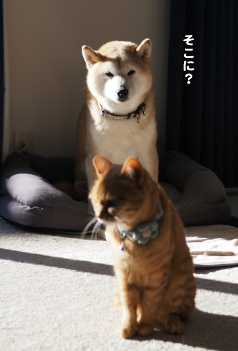 10日ブログ２