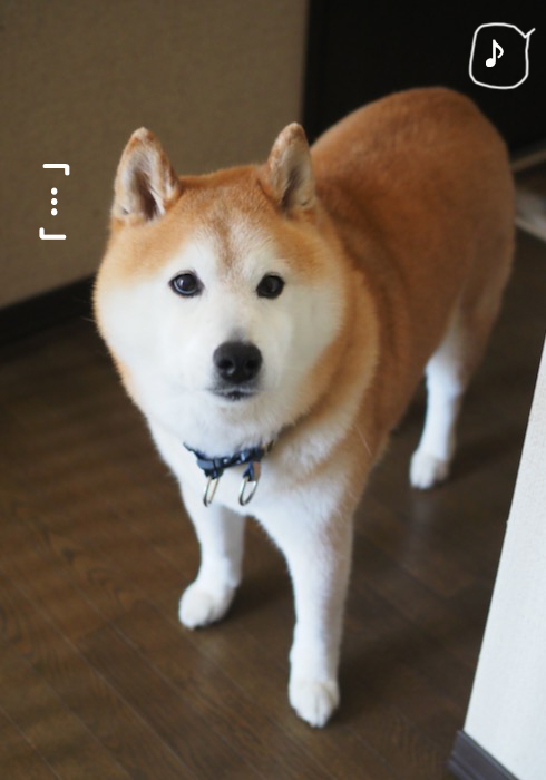 11日ブログ７
