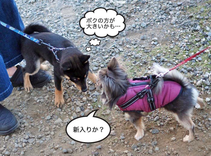 13日ブログ２