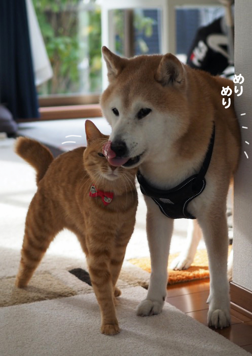 15日夕ブログ４