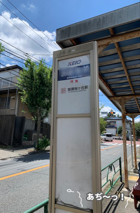 12日夕ブログ３