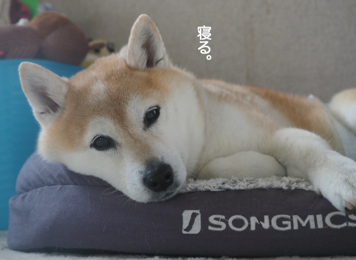 20日ブログ３