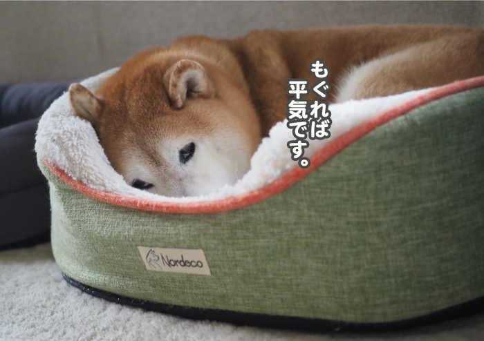 4日夕ブログ４