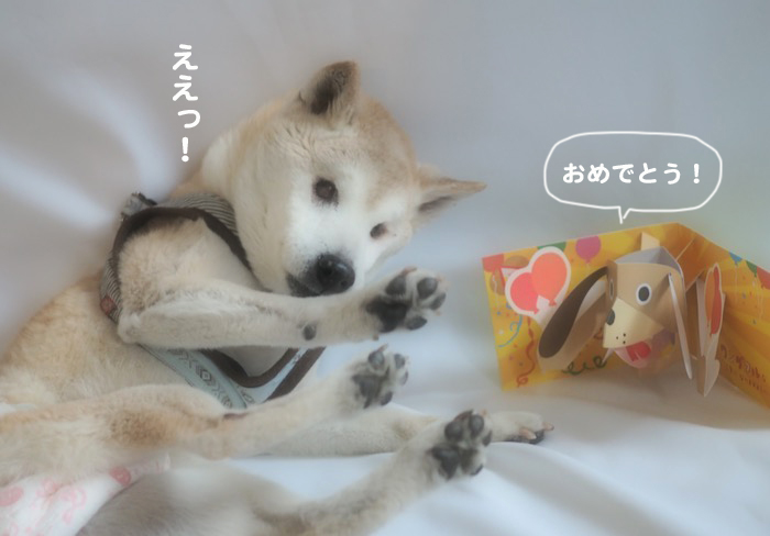 18日ブログ２