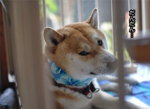 26日ブログ8.jpg