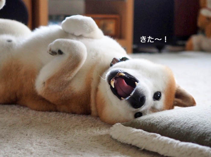 9日夜ブログ５