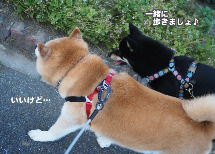 12日夜ブログ４