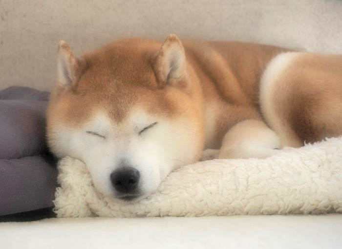 13日ブログ４