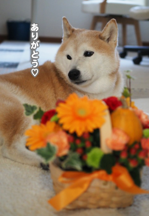 26日夕ブログ2
