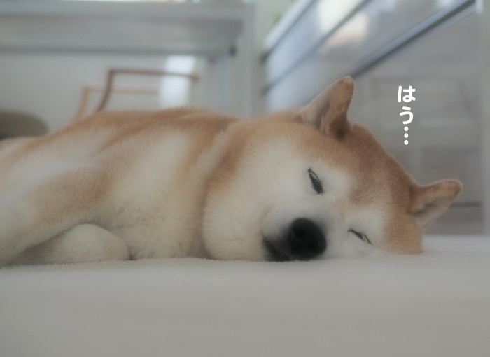 20日ブログ２