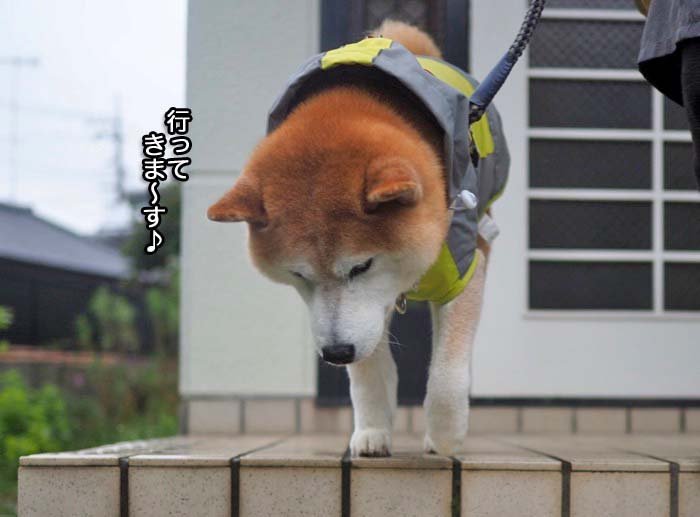 5日夕ブログ６