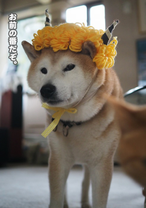 3日ブログ５