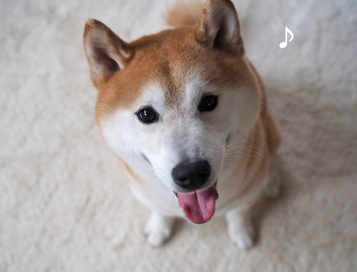 6日ブログ8