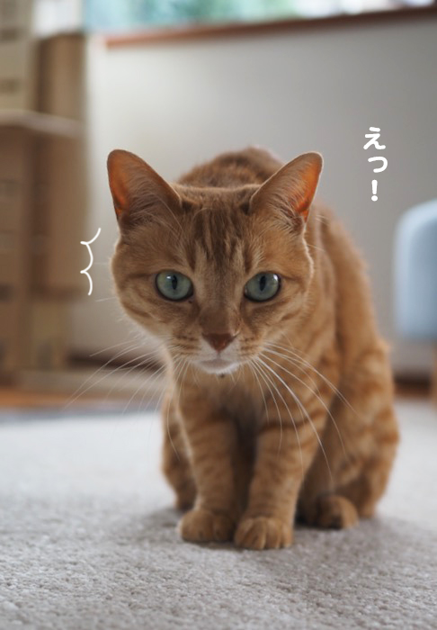 21日ブログ２