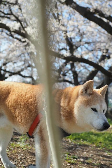 4日夕ブログ３