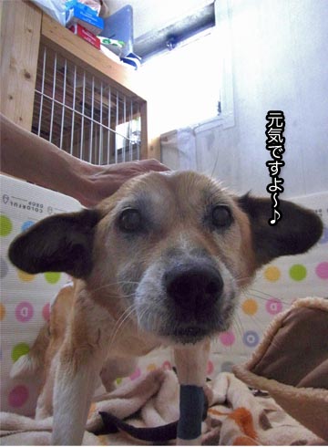 27日ブログ7.jpg