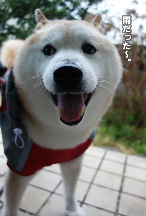 24日夕ブログ５