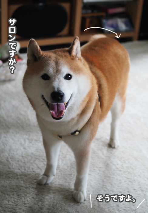 14日夕ブログ４