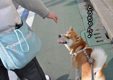 5日ブログ１０.jpg