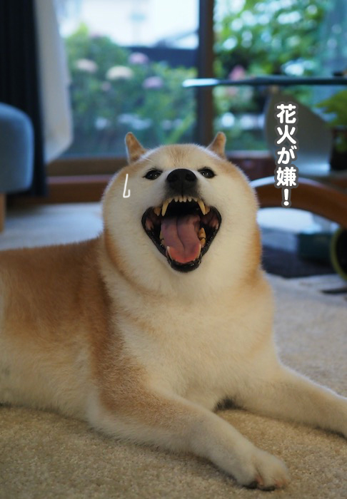 16日ブログ４