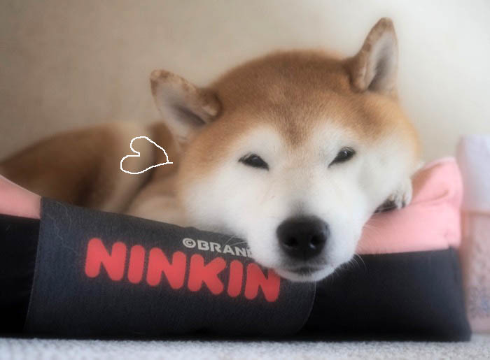 2日夜ブログ４
