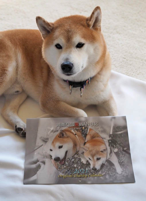 29日ブログ２