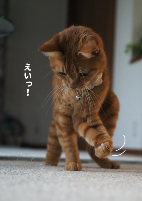 15日夜ブログ７