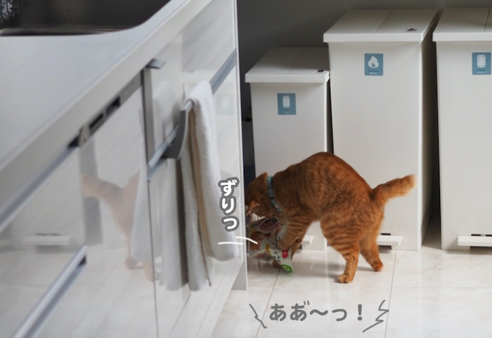 15日夕ブログ４
