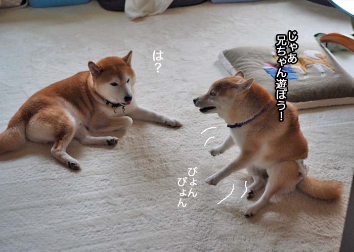 6日午後ブログ4