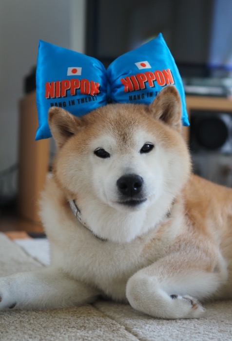 7日用１