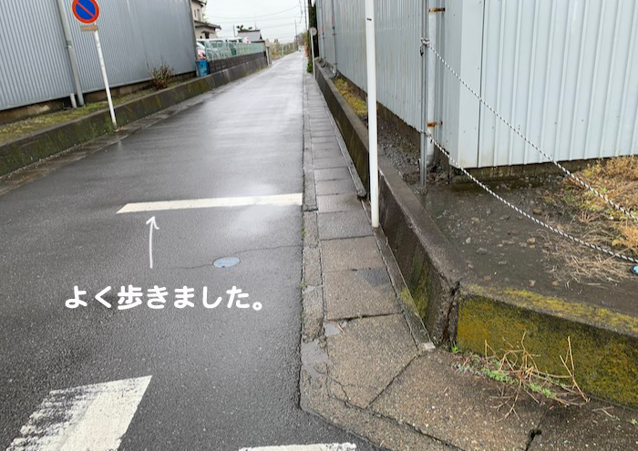 9日夕ブログ４