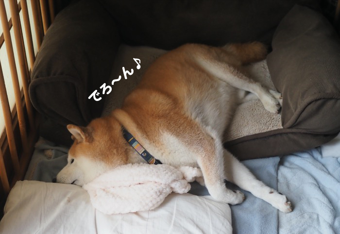 11日夕ブログ２