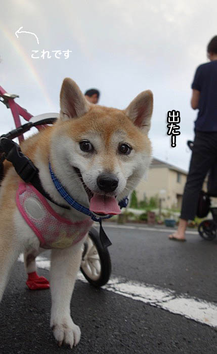 23日夜ブログ２