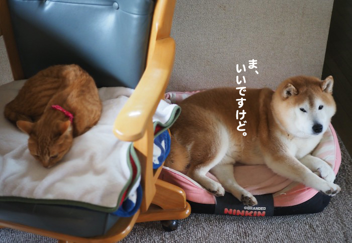 18日夕ブログ3