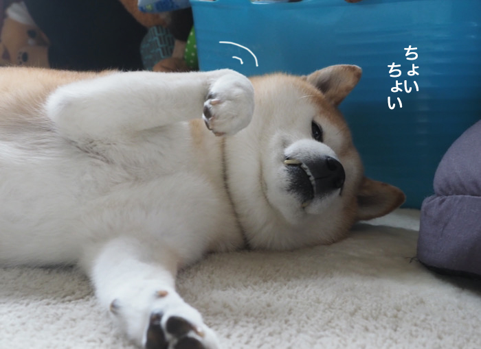 21日ブログ４