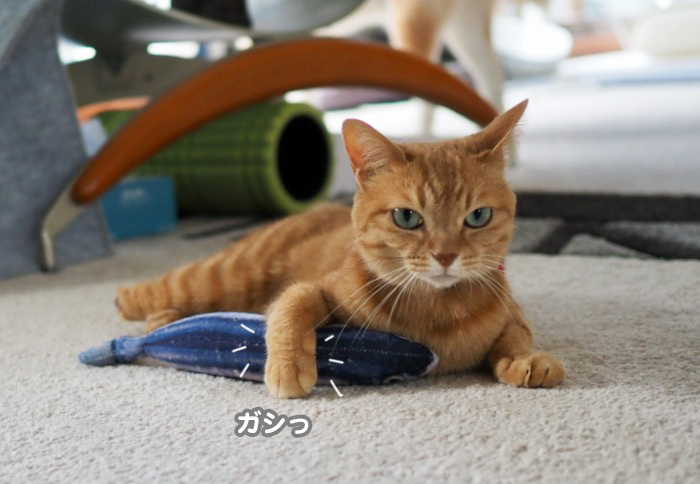 12日夕ブログ３