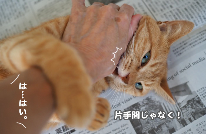 30日ブログ８